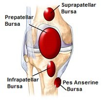 Knee Bursa: Anatomy, Function & Injuries