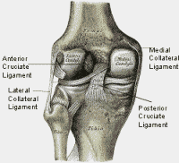 Common Knee Injuries: Symptoms, Diagnosis & Treatment