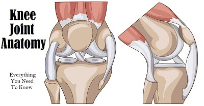 Knee Replacement Surgery Procedure Types and Risks  HSS