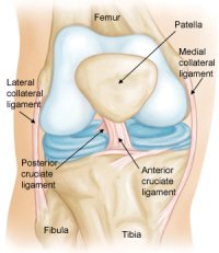 Knee Sprain: Symptoms, Diagnosis & Treatment