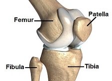 Normal Knee Range Of Motion & How To Measure - Knee Pain Explained